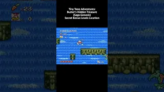 Tiny Toon Adventures: Buster's Hidden Treasure (Genesis) Secret Bonus Levels Location