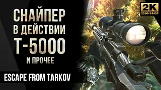 Снайпер в действии Т-5000 • Escape from Tarkov №63 [2K]