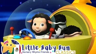 Baa Baa Oveja Negra | Canciones Infantiles | Dibujos Animados | Little Baby Bum en Español Latino