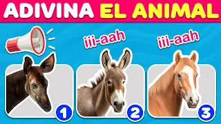 ¡Adivina el Animal por el Sonido! | Cuestionario Interactivo y Datos sobre Animales para Niños - 2