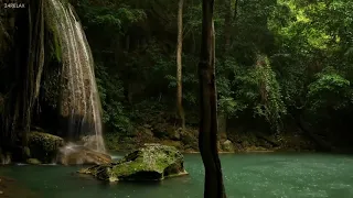 Flûte Amérindienne - Bruit de la Pluie sur une Rivière - Aide à la guérison - Sommeil Réparateur.