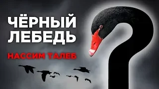 Кто такие "черные лебеди"? Нассим Талеб - философия и цитаты