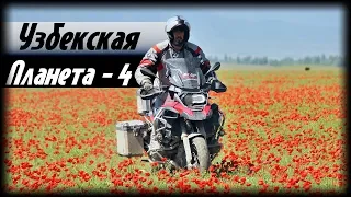 Узбекская планета.  Часть 4. Путешествия за Пазухой.