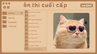 Playlist speed up rất nhìu tình ca để cậu tập trung ôn thi cuối cấp cuối kì 🌼 | Con Mèo Béo