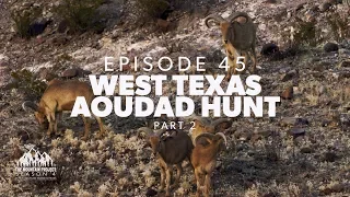 We pull it off in the last half hour! - Ep.45 - West Texas Aoudad Hunt