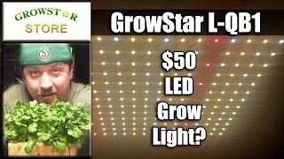 Inexpensive LED Grow Light Review - Growstar QB1