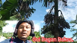 Baksa ao Goi Bagan CHIRANG ni badi