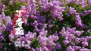 丁香花 (4K UDH) #chenxiaozhu #xiaozhuchen #cover #song #music#陈晓竹 #国风 #翻唱 #丁香花