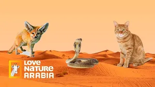 الموت قبل بزوغ الفجر : حيوانات فتاكة قاتلة تأخذ معارك دامية ضد بعضها البعض | Love Nature Arabia