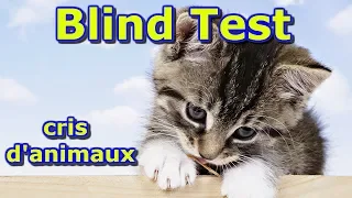 BLIND TEST LES ANIMAUX !!!