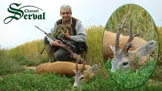 Hunting atypical Roebuck in Croatia - part2 -Jagd auf Rehbock mit abnormen Gehörn
