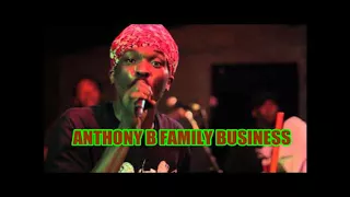 ANTHONY B FAMILY BUSINESS