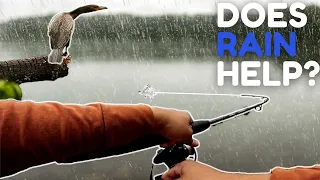 Should You Fish in the Rain? Catch More Bass in the Rain!