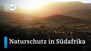 Südafrika: Naturschutz als Steueranreiz | Global Ideas