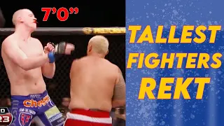 Being the TALLEST FIGHTER in a Weight Class’ History NEVER Works Out Well...(TALL FIGHTERS DROPPED)