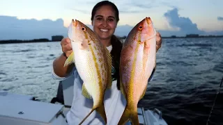 Reef Snapper Fishing- Catch and Cook Yellowtail and Mangrove!