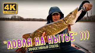 Эффективный способ рыбалки когда не клюёт. Ловля на нытьё)))