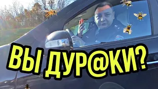 Хотел полечить, да сам захворал ⛔️🐝 Агрессия зашкаливает!