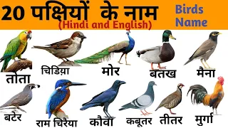 20 Birds Name in Hindi and English | पक्षियों के नाम | Birds Name | Hindi and English Vocabulary |