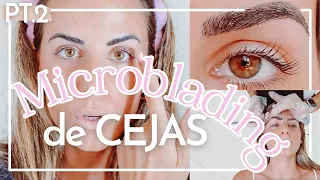 💉👁️  PROCESO MICROBLADING PARTE 2 | Retoque, evolución, resultado final tatuaje de cejas