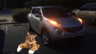 HERE IS WHY YOU SHOULD NEVER BUY A NISSAN JUKE!!