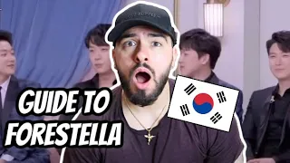 🇰🇷 Guide To Forestella (포레스텔라) : Informative Crack *British REACTION*