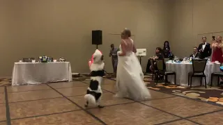 Bride Sara Carson / Dances with her “Best Dog” Hero