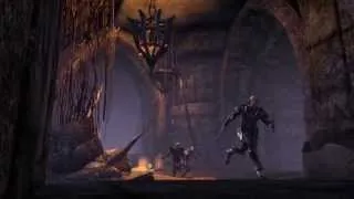 The Elder Scrolls Online- Геймплей  с  E3 2013 Gameplay Trailer HD