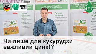 Чи лише для кукурудзи важливий цинк!?