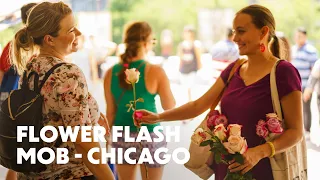 Never Underestimate the Power of a Flower | FLOWER FLASH MOB