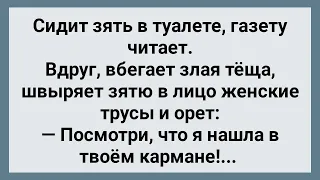 Теща в Кармане у Зятя Нашла Чужие Трусы! Сборник Свежих Анекдотов! Юмор!