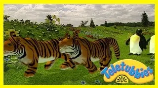 Teletubbies: Cat's Night Out - Full Episode