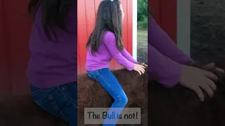 Bull Riding Future? 🐂 🤠 #shorts #bullriding #bullride