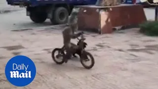 Hilarious moment monkey steals bike before riding it in front of crowd