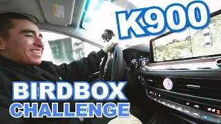 K900 BIRDBOX Challenge - i25Kia's Have Fun at Work Day 2019