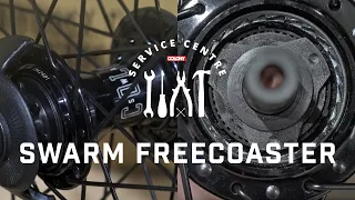 Colony Swarm Freecoaster BMX Hub - Planetary Coaster Inner Workings