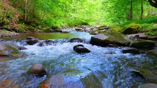 4K HDR Wonderful Mountain River Landscape. The Relaxing River Sound.