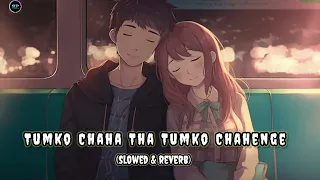 Tumko_chaha_tha_tumko_chahenga (slowed & reverb)song | Alka yagni/kumar sanu | old song 2006..