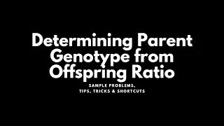 Determining Parent Genotype from Offspring Ratio - Sample Problems, Shortcuts, & Tricks | Genetics