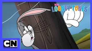 New Looney Tunes | Vogelliebe | Cartoon Network