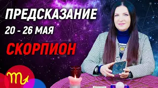 СКОРПИОН ♏- РАСКЛАД на 20 - 26 мая 2024 года⭐гадание онлайн