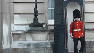 Buckingham Palace Royal Guard in a rage