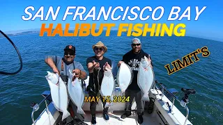 HALIBUT FISHING SF SOUTH BAY ROUND 3 🔥🔥🔥 MAY 15, 2024