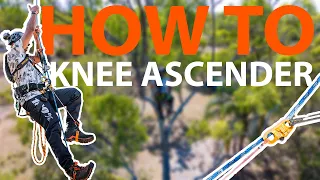 How to set up an SRT Knee Ascender for Tree Climbing