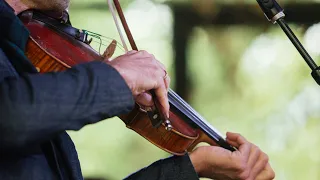 Andrew Bird - Evasive Maneuvers (Live at The Current Day Party)