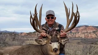 278" MONSTER Mule Deer from Utah - Albert Richard - MossBack