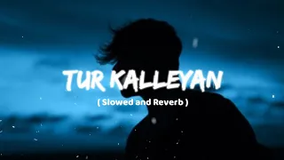 Tur Kalleyan ( Perfectly Slowed ) Arijit Singh