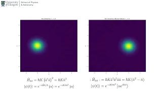 Quantum Optics - Kerr Interaction