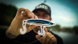 How to fish Stick Baits-Technique & Gear - Casting Stick Baits