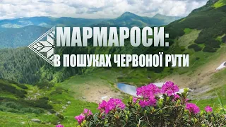 Мармароси: в пошуках червоної рути